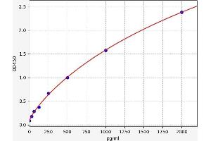 Typical standard curve (CLCF1 ELISA Kit)