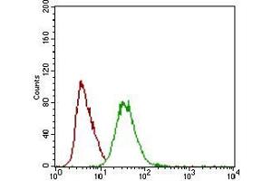 Flow cytometric analysis of HEK293 cells using DCN mouse mAb (green) and negative control (red). (Decorin antibody  (AA 263-324))