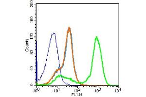 Mouse Spleen Cells probed with P2Y10 Polyclonal Antibody, PE Conjugated (bs-12070R-PE)(green) at 1:100 for 30 minutes compared to unstained cells (blue), secondary only (light blue), and isotype control (orange). (P2RY10 antibody  (AA 151-250) (PE))
