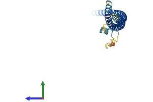 AlphaFold protein structure predicition of Mouse Recombinant Snap25 Protein, UniprotID P60879 (SNAP25 Protein (AA 1-206) (His tag))
