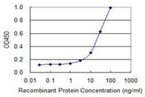 Detection limit for recombinant GST tagged TMOD3 is 1 ng/ml as a capture antibody. (TMOD3 antibody  (AA 280-352))
