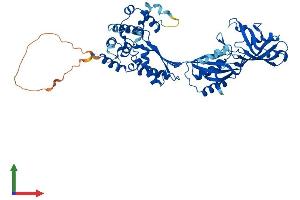 Protein Structure (PS) image for Pseudouridylate Synthase 10 (PUS10) (AA 1-527) protein (His tag) (ABIN7560959)