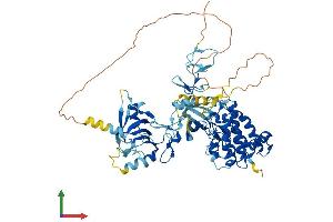 AlphaFold protein structure predicition of Human Recombinant LIMK2 Protein, UniprotID P53671