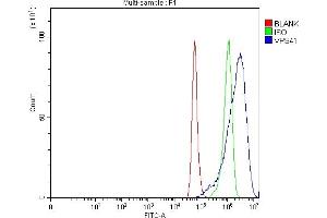Flow Cytometry analysis of A549 cells using anti-VPS41 antibody (ABIN7601748). (VPS41 antibody  (AA 44-843))