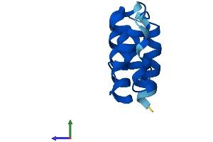 AlphaFold protein structure predicition of Human Recombinant ACBD7 Protein, UniprotID Q8N6N7 (ACBD7 Protein (AA 1-88) (Fc Tag))