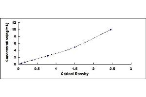 Typical standard curve (SULT1A1 ELISA Kit)