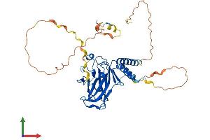 AlphaFold protein structure predicition of Human Recombinant TP53 Protein, UniprotID P04637 (p53 Protein (AA 1-393) (His tag))