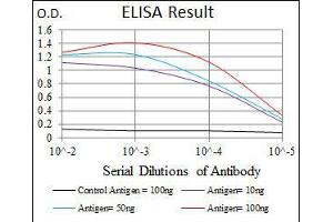 Black line: Control Antigen (100 ng), Purple line: Antigen(10 ng), Blue line: Antigen (50 ng), Red line: Antigen (100 ng), (NEFH antibody  (AA 968-1020))
