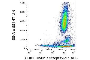 Flow cytometry analysis (surface staining) of CD82 on human peripheral blood cells with anti-CD82 (C33) biotin, streptavidin/PE. (CD82 antibody  (Biotin))