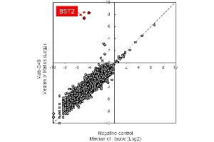 The target of Mab-C48 was identified by a large-scale human protein array including 5,300 proteins analyzed by Fukushima Translational Research Foundation, Japan.