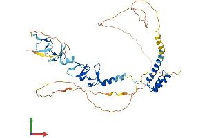 AlphaFold protein structure predicition of Mouse Recombinant Lhx3 Protein, UniprotID P50481 (LHX3 Protein (AA 1-400) (His tag))