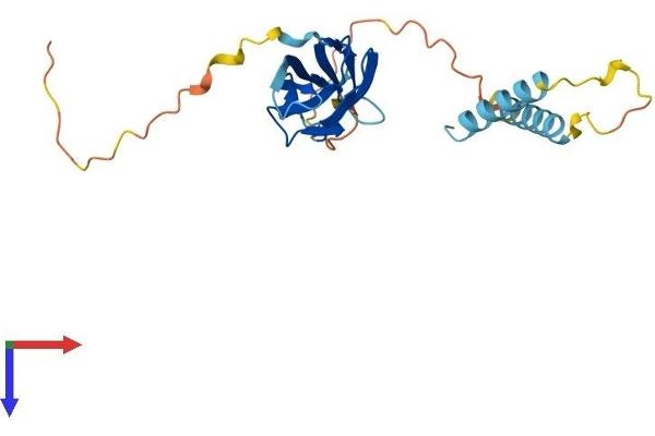 MOSPD3 Protein (AA 1-235) (His tag)