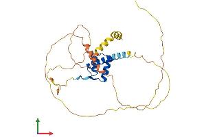AlphaFold protein structure predicition of Human Recombinant PHOX2B Protein, UniprotID Q99453