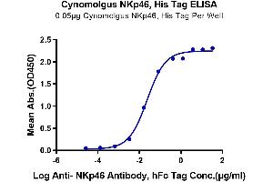 ELISA image for Natural Cytotoxicity Triggering Receptor 1 (NCR1) (AA 22-254) protein (His tag) (ABIN7275347)