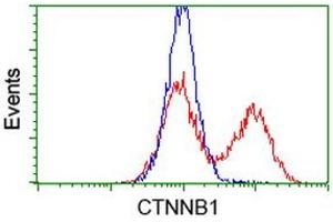 HEK293T cells transfected with either RC208947 overexpress plasmid (Red) or empty vector control plasmid (Blue) were immunostained by anti-CTNNB1 antibody (ABIN2454167), and then analyzed by flow cytometry.