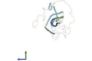 AlphaFold protein structure predicition of Mouse Recombinant Ccdc40 Protein, UniprotID Q8BI79 (CCDC40 Protein (AA 1-1192) (His tag))