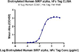 ELISA image for Signal-Regulatory Protein alpha (SIRPA) (AA 31-370) protein (Fc-Avi Tag,Biotin) (ABIN7275673)