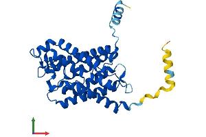 AlphaFold protein structure predicition of Mouse Recombinant Aqp3 Protein, UniprotID Q8R2N1