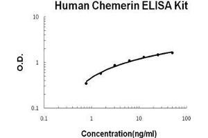 Human Chemerin/RARRES2 PicoKine ELISA Kit standard curve (Chemerin ELISA Kit)