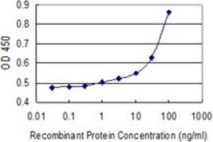 Detection limit for recombinant GST tagged A2M is 3 ng/ml as a capture antibody. (alpha 2 Macroglobulin antibody  (AA 641-730))