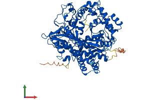 AlphaFold protein structure predicition of Human Recombinant GCLC Protein, UniprotID P48506