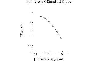 ELISA image for Protein S (PROS) ELISA Kit (ABIN1440255) (PROS1 ELISA Kit)