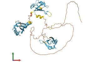 AlphaFold protein structure predicition of Human Recombinant HNRNPF Protein, UniprotID P52597