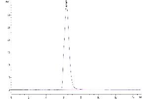 The purity of Human IL-5R alpha is greater than 95 % as determined by SEC-HPLC. (IL5RA Protein (AA 21-335) (Fc Tag))