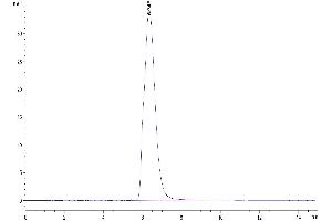 The purity of Human IL-5R alpha is greater than 95 % as determined by SEC-HPLC. (IL5RA Protein (AA 21-335) (Fc Tag))