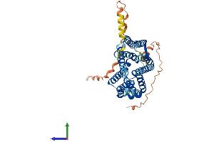 AlphaFold protein structure predicition of Human Recombinant SLC35F1 Protein, UniprotID Q5T1Q4