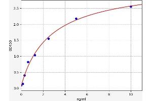 Typical standard curve (BMP6 ELISA Kit)