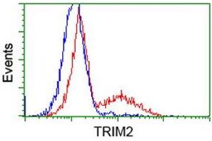 HEK293T cells transfected with either RC203947 overexpress plasmid (Red) or empty vector control plasmid (Blue) were immunostained by anti-TRIM2 antibody (ABIN2453859), and then analyzed by flow cytometry.