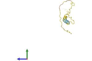 AlphaFold protein structure predicition of Human Recombinant PRAC2 Protein, UniprotID D3DTV9 (PRAC2 Protein (AA 1-90) (His tag))