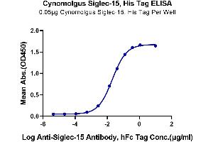 Immobilized Cynomolgus Siglec-15, His Tag at 0. (SIGLEC15 Protein (AA 60-322) (His-Avi Tag))