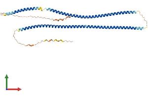 AlphaFold protein structure predicition of Mouse Recombinant Krt32 Protein, UniprotID Q62168 (KRT32 Protein (AA 1-407) (His tag))