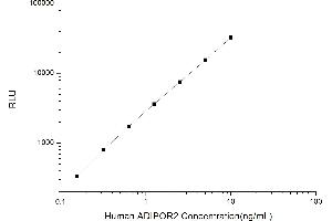 Typical standard curve (Adiponectin Receptor 2 CLIA Kit)