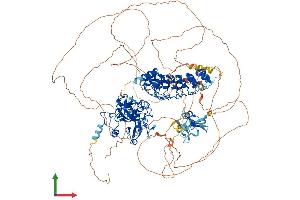 AlphaFold protein structure predicition of Mouse Recombinant Ehmt1 Protein, UniprotID Q5DW34