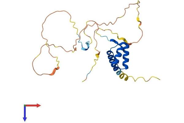 HOXA6 Protein (AA 1-232) (His tag)