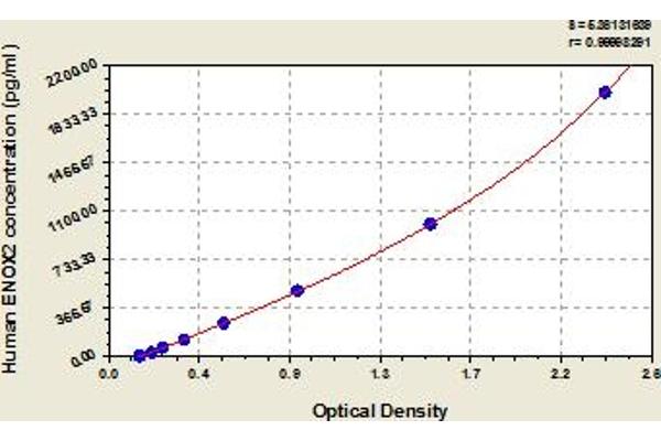 ENOX2 ELISA Kit