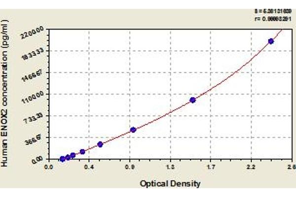 ENOX2 ELISA Kit