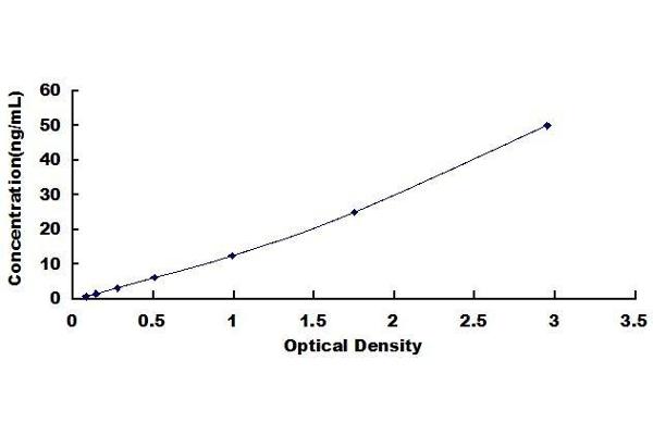 Urocortin 2 ELISA Kit