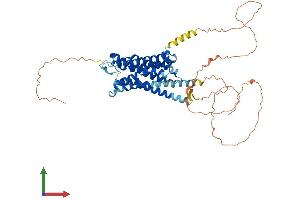 Protein Structure (PS) image for Adrenergic, alpha-1B-, Receptor (ADRA1B) (AA 1-520) protein (His tag) (ABIN7552026)