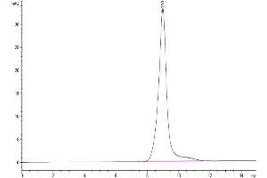 The purity of Human BTLA is greater than 95 % as determined by SEC-HPLC. (BTLA Protein (AA 31-150) (His-Avi Tag))