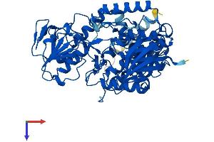 AlphaFold protein structure predicition of Human Recombinant FMO5 Protein, UniprotID P49326 (FMO5 Protein (AA 1-533) (His tag))
