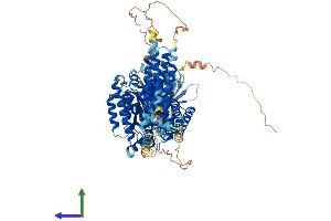 AlphaFold protein structure predicition of Mouse Recombinant Inpp4a Protein, UniprotID Q9EPW0