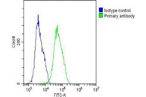 Overlay histogram showing MCF-7 cells stained with Antibody (green line). (Vitronectin antibody  (N-Term))
