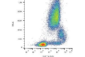 Flow cytometry analysis (surface staining) of human peripheral blood cells with anti-CD11c (BU15) APC. (CD11c antibody  (APC))