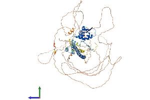 AlphaFold protein structure predicition of Mouse Recombinant Bach2 Protein, UniprotID P97303