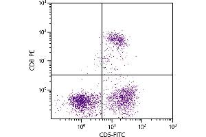 Feline peripheral blood lymphocytes were stained with Mouse Anti-Feline CD5-FITC. (CD5 antibody  (FITC))