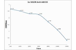 Antigen: 0. (ABCG5 antibody  (AA 251-350))
